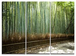 Bamboo Forest Wall Art Print 3 Panels