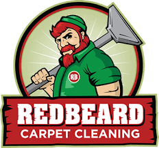 colorado springs carpet cleaners by state