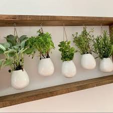 Indoor Succulent Garden In Wooden Frame