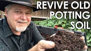 how to re use old potting soil 4