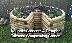 drought tolerant composting garden
