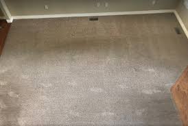 carpet 911 boise carpet cleaning