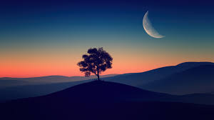 sunset dusk crescent moon tree scenery