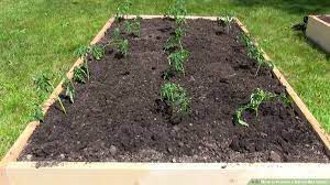 how to prepare a raised bed garden 9
