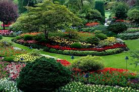 600 Garden Pictures Wallpapers Com