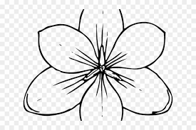 Hawaiian flower coloring pages inofations for your design. Drawn Hawaiian Flowers Pumpkin Flower Coloring Pages Hd Png Download 640x480 1777535 Pngfind