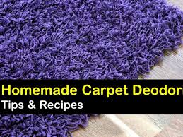 7 fast easy carpet deodorizers anyone