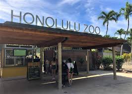 discover honolulu zoo best of oahu