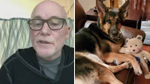 If you are thinking of buying a dog as a family pet forget that puppies for sale advert, please read this article first. New Jersey Man Brian Myers Explains How Newly Rescued German Shepherd Helped Save His Life During Stroke Abc7 New York
