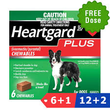 Heartgard Plus For Dogs Costco Auto