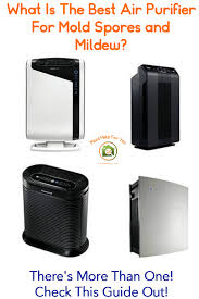 7 best air purifiers for mold mold