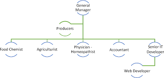Figure 3 From Development Of A Business Plan For A Social