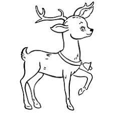characters featured on bettercoloring.com are the property of their respective owners. Top 20 Free Printable Reindeer Coloring Pages Online