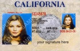 gallery of fake id doents cards