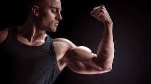 21 best biceps exercises without