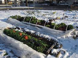 33 Cool Winter Gardening Ideas How To