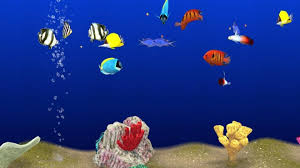 tv en aquarium virtuel 3d interactif