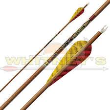 Arrows Traditional Arrows