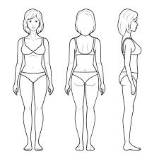 3,832 Human Body Outline Front And Back Drawing Illustrations & Clip Art -  iStock