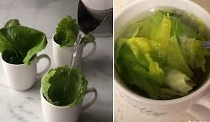 drink lettuce tea to help you sleep