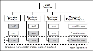 Organizational Structure Managingprojectsblog