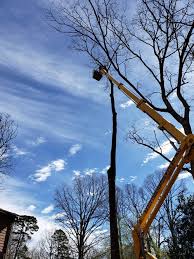 Our priority is ensuring the homeowner and business owner has peace of mind knowing that we will perform every job with a focus on reliability, fast response and safety. Ez Out Tree Service Reliable And Affordable Tree Services In Lawrenceville Ga And Surrounding Areas