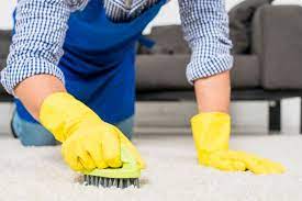 carpet cleaning services galloway new