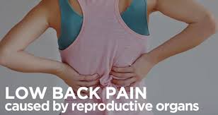 Endometriosis can cause pain in the lower back or pelvis. The Causes Of Low Back Pain And What To Do About It Family Health Chiropractic