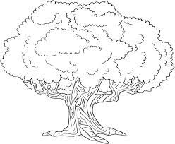 Credit to the original picture uploader. Pin By Anna Bahr Ziegler On Baume Trees Tree Drawing Tree Coloring Page Oak Tree Tattoo