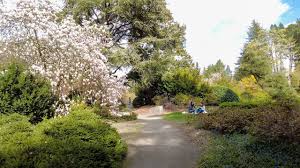 is this south seattle park haunted a