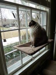 Sunny Seat Cat Window Perch