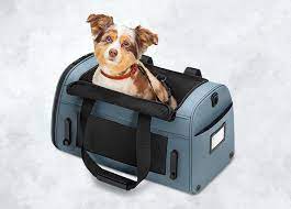 Away Debuts a New Chic Travel Pet Carrier - Dog Insider