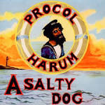 Salty Dog [Bonus Track]