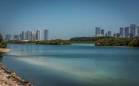 Fishing In Abu Dhabi Guide Best Spots Seasons License