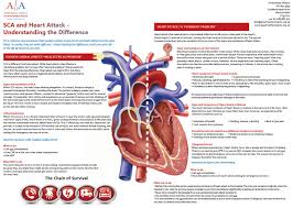 Firstly cardiac arrest might be brought about by a heart attack. Sudden Cardiac Arrest Arrhythmia Alliance