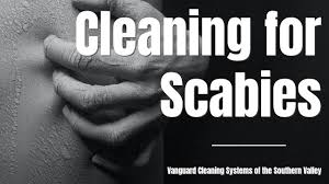 cleaning for scabies infestations