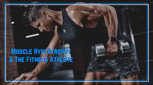 functional fitness muscle hypertrophy
