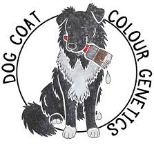 Dog Coat Colour Genetics