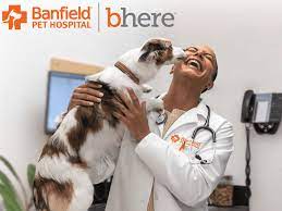 banfield pet hospital review protect