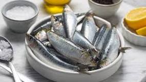 Which country has the best sardines?