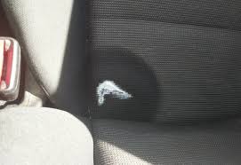 Get Melted Deodorant Out Of Car Seat