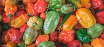 What do you eat with peppers?