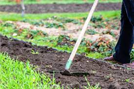 Recharge Your Garden Soil This Fall