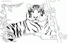 Set off fireworks to wish amer. African Safari Animals Coloring Pages Coloring Home
