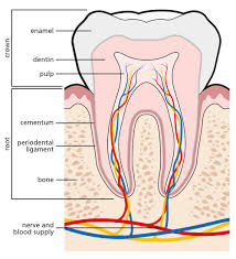 tooth abscess great ormond street