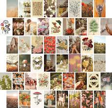 50 Printed 4x6 Wall Collage Kit
