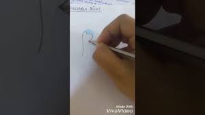 The shoulder is an elegant piece of when you realize all the different ways and positions we use our hands every day, it is easy to. How To Draw Shoulder Joint Easy Anatomy Youtube
