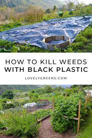 Black Plastic To Kill Weeds And Grass