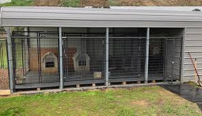 commercial dog kennel providing