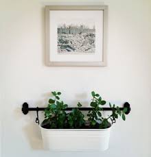 hanging plants wall planters indoor